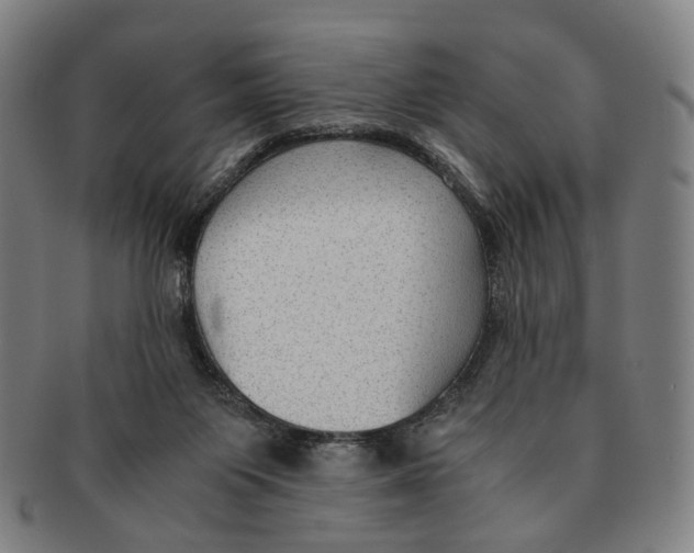 X0000090990119200708301321