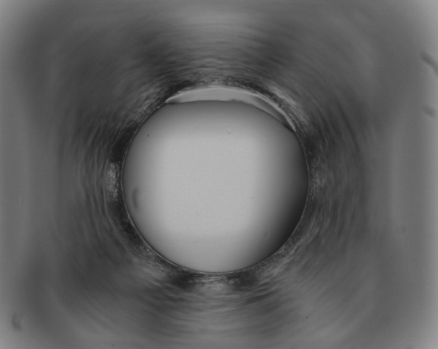 X0000090990121200708301321