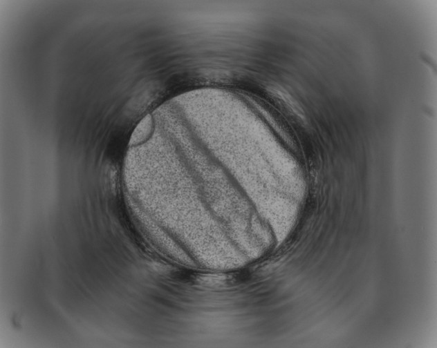 X0000090990123200708301321