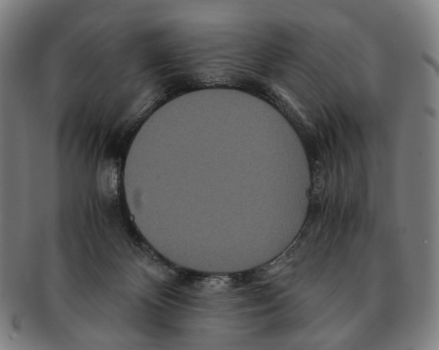 X0000090990124200708301321