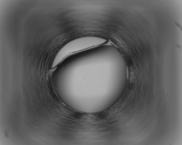 X0000090990125200708301321