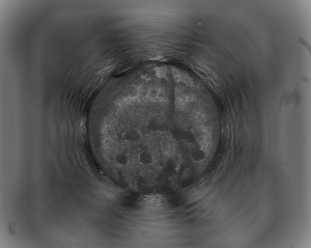 X0000090990127200708301321