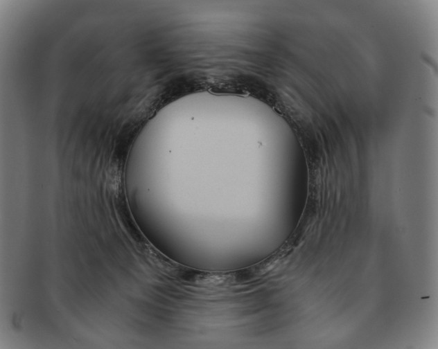 X0000090990129200708301321