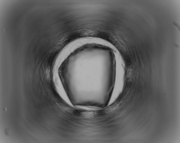 X0000090990131200708301321