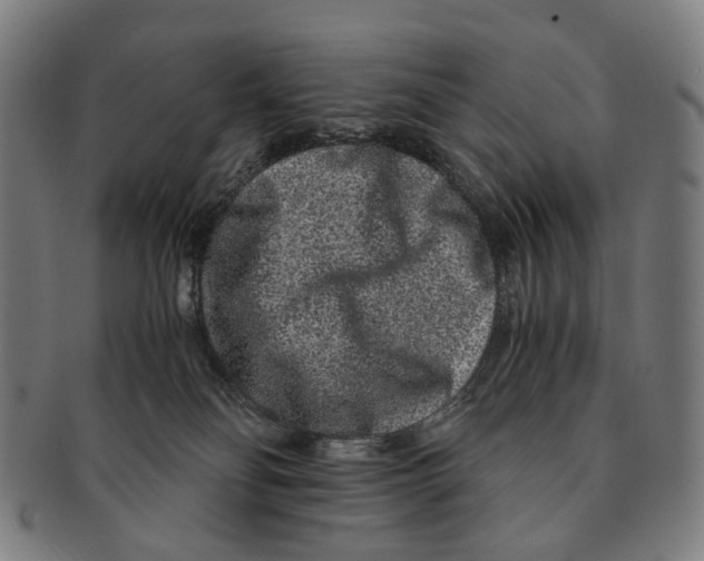 X0000090990134200708301321