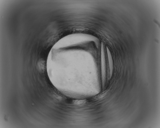 X0000090990135200708301321