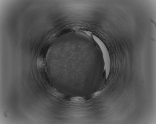 X0000090990137200708301320