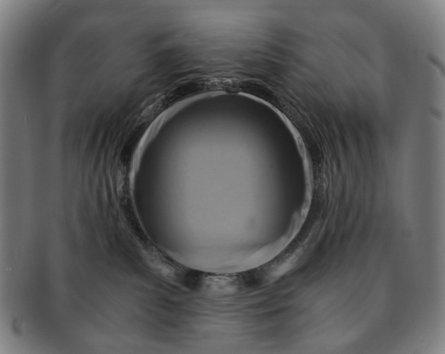 X0000090990139200708301320