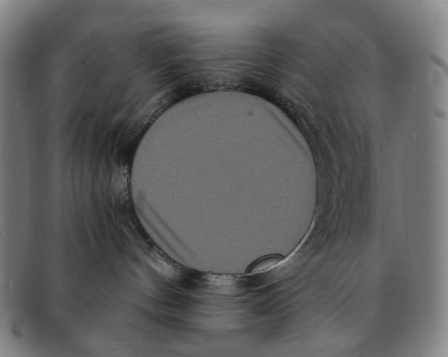 X0000090990144200708301320