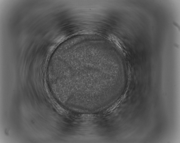 X0000090990145200708301320