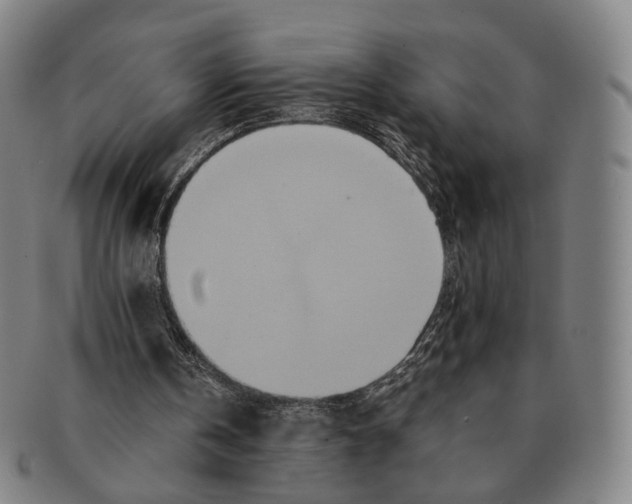 X0000090990146200708301320