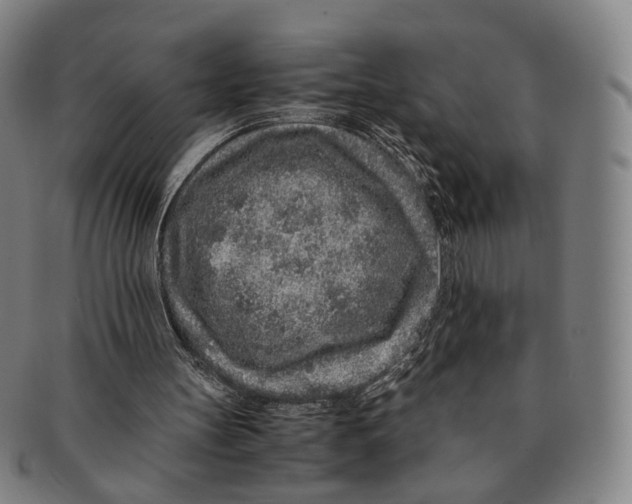 X0000090990147200708301320