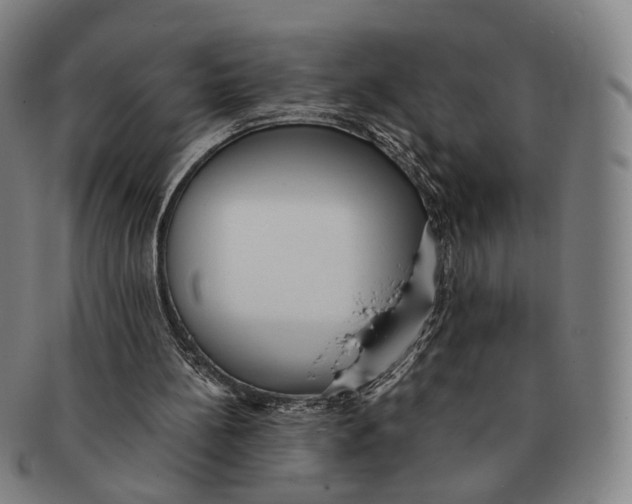 X0000090990148200708301320