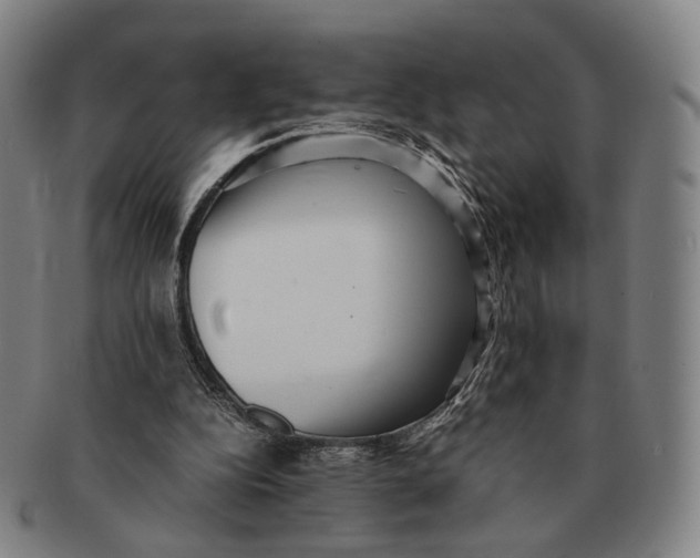 X0000090990152200708301320