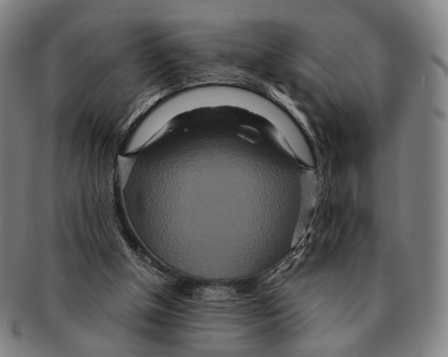 X0000090990154200708301320