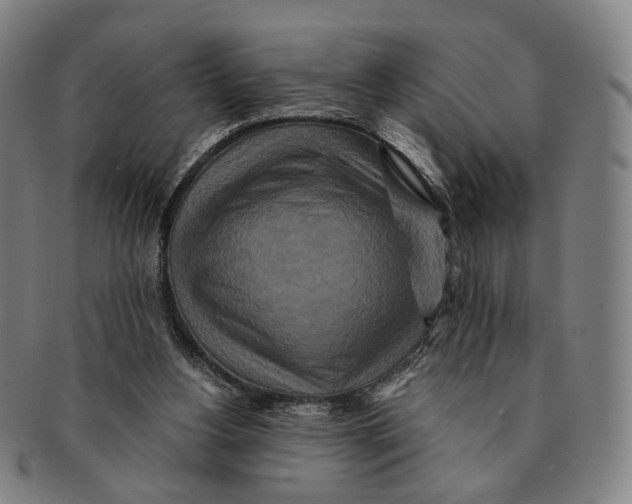 X0000090990156200708301320