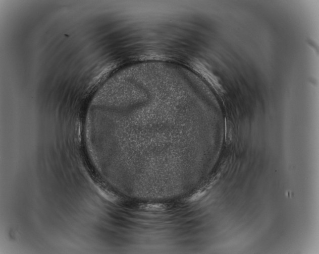 X0000090990157200708301320