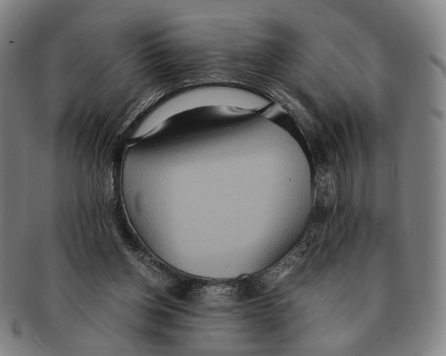 X0000090990158200708301320