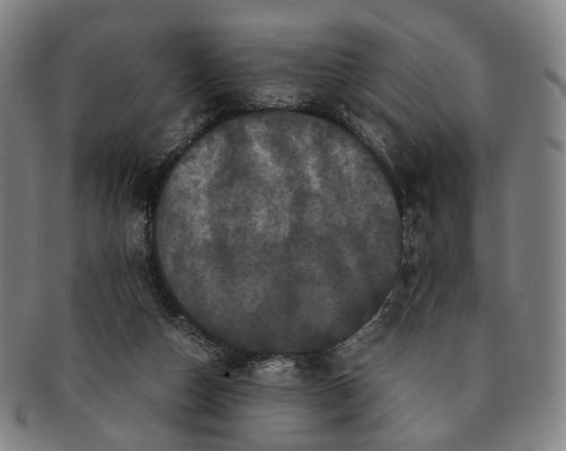 X0000090990162200708301320