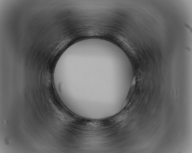 X0000090990164200708301320