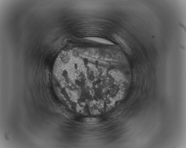 X0000090990169200708301320