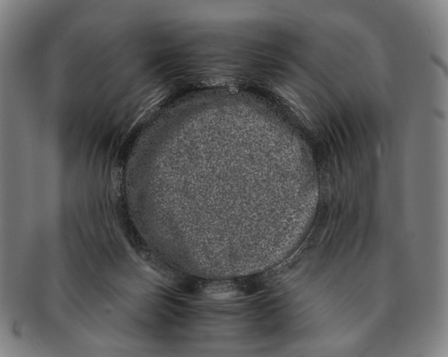 X0000090990171200708301320