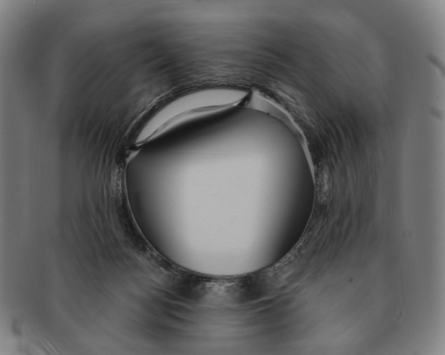 X0000090990172200708301320