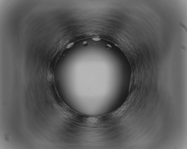 X0000090990176200708301320