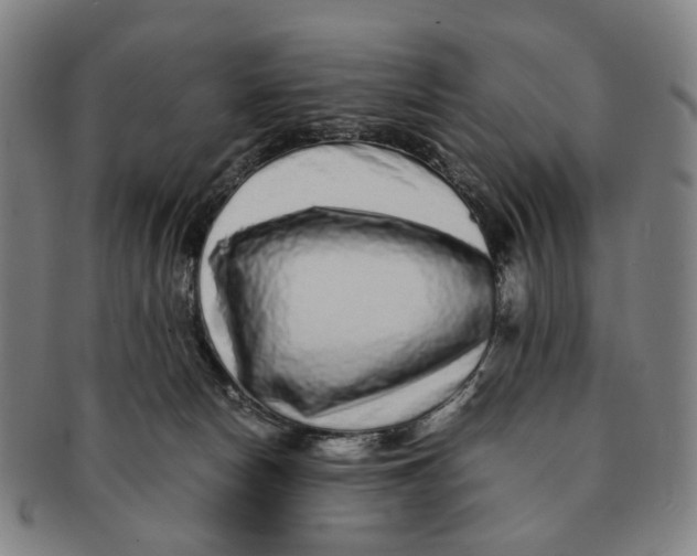 X0000090990178200708301320