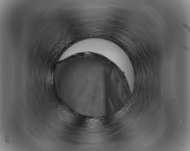 X0000090990180200708301320