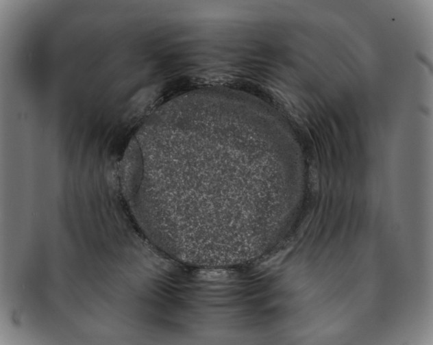 X0000090990181200708301320