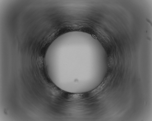 X0000090990184200708301320