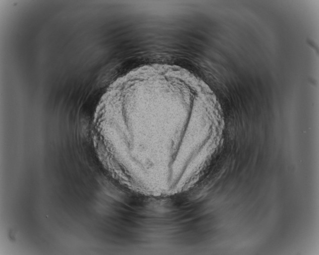 X0000090990185200708301320