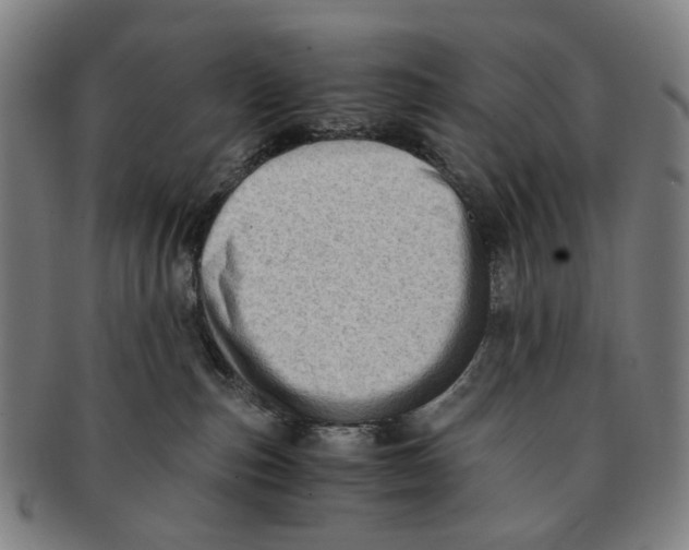 X0000090990187200708301320