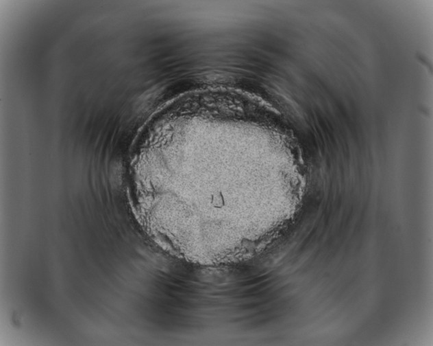 X0000090990189200708301320