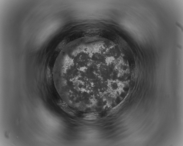 X0000090990191200708301320