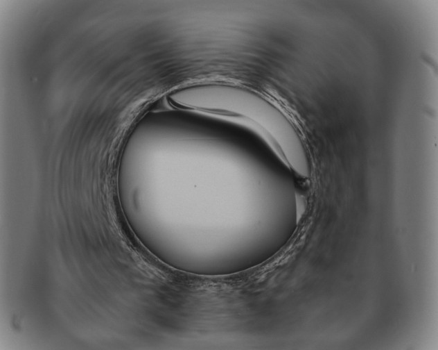 X0000090990193200708301320