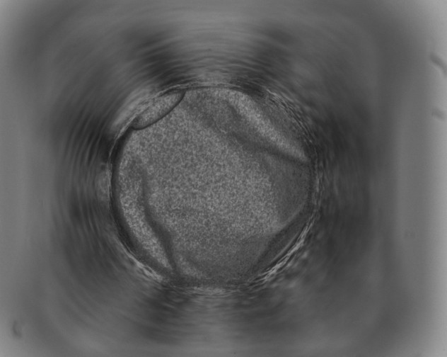 X0000090990194200708301320