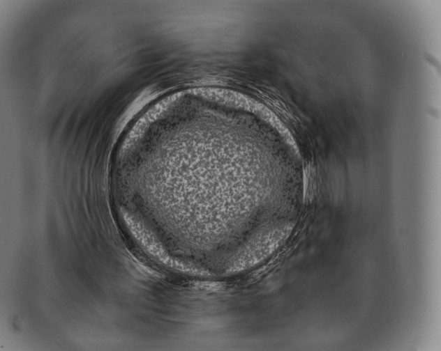 X0000090990195200708301320