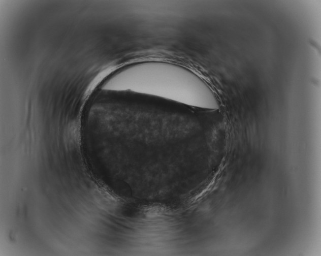 X0000090990200200708301320