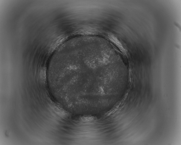 X0000090990202200708301320