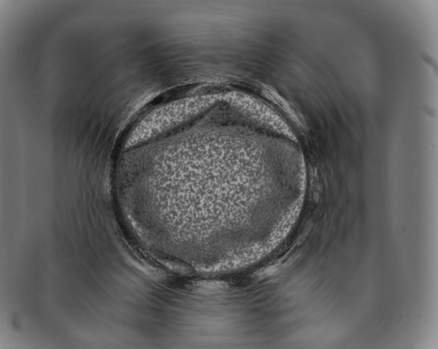 X0000090990203200708301320