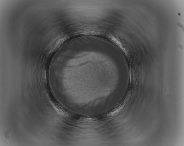 X0000090990205200708301320