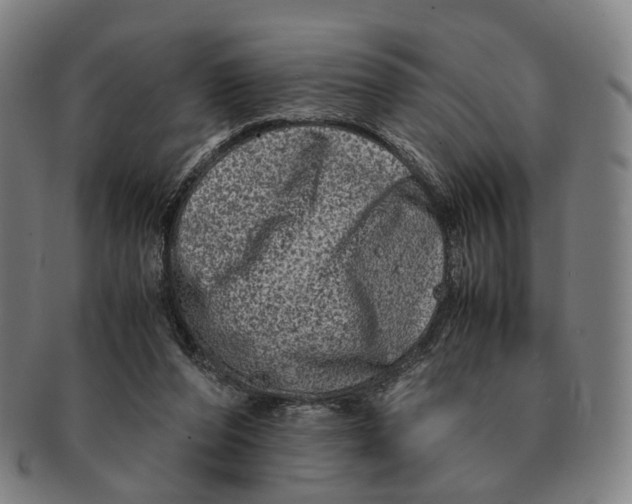 X0000090990208200708301319