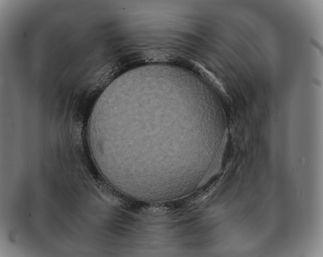 X0000090990209200708301319