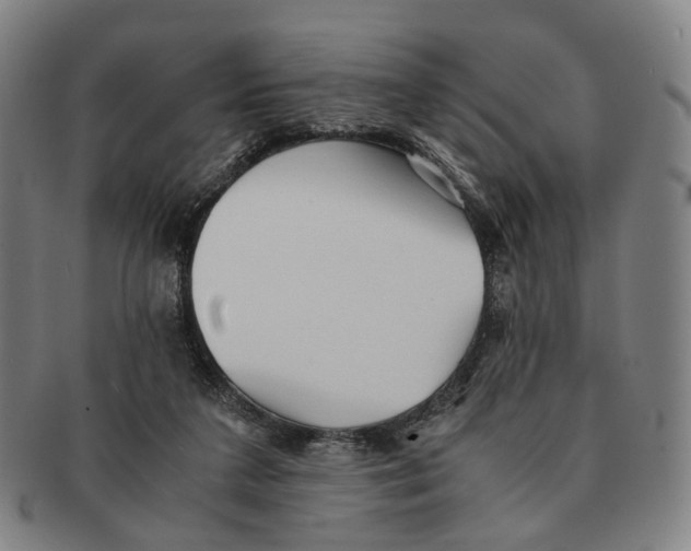 X0000090990211200708301319