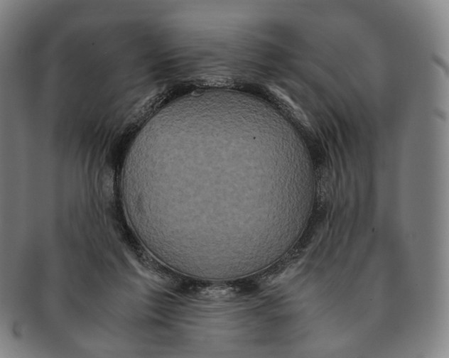 X0000090990213200708301319