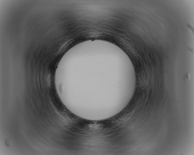 X0000090990216200708301319