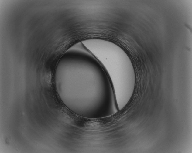 X0000090990219200708301319