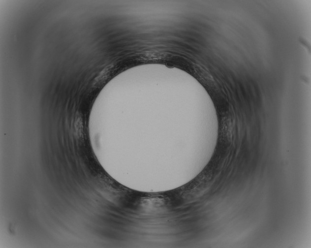 X0000090990220200708301319